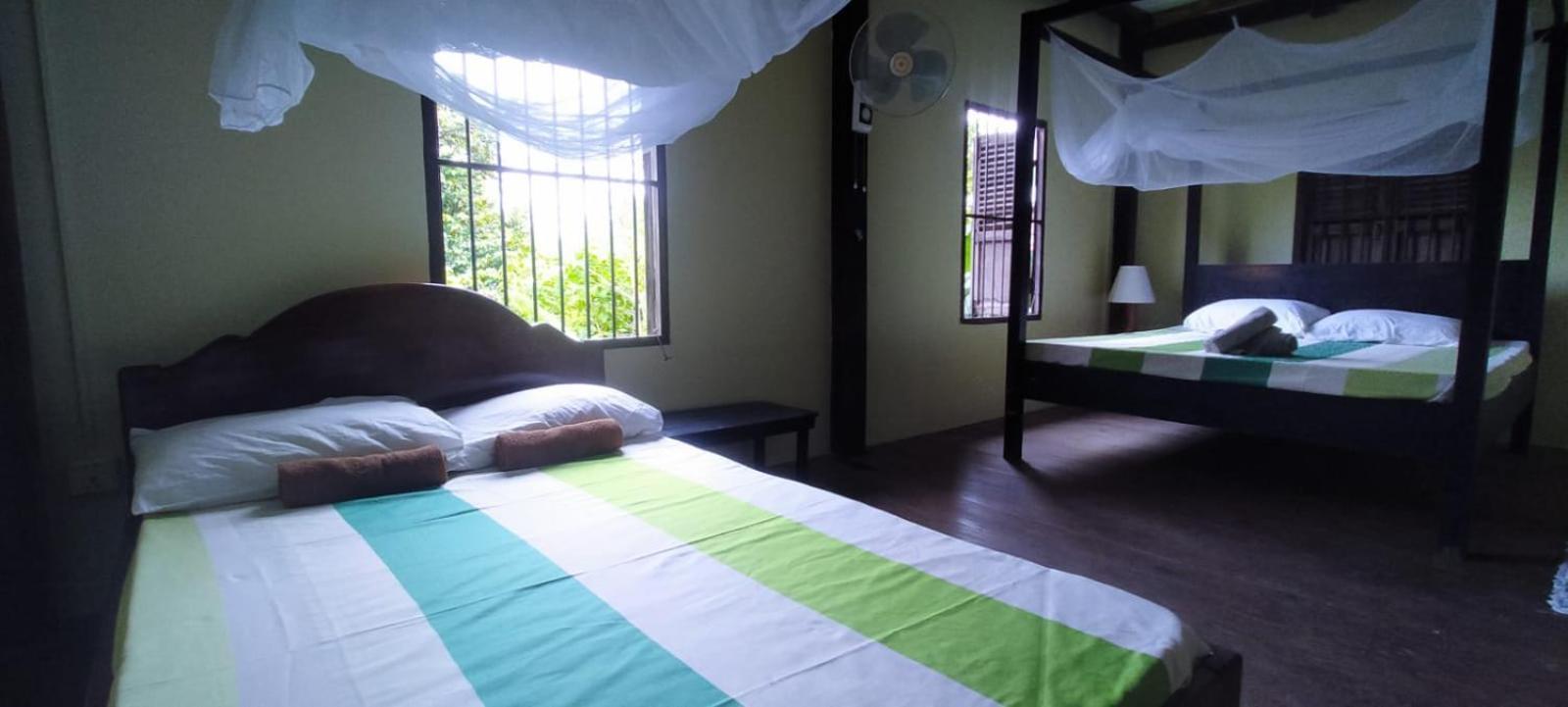 O'Hamok Family Homestay Баттамбанг Номер фото